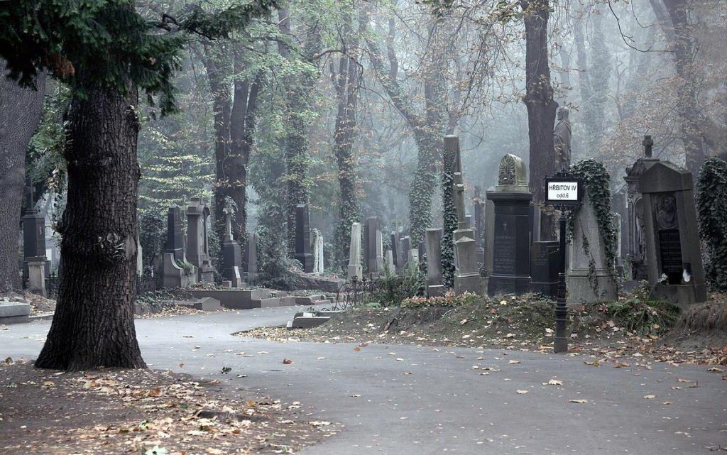 Ольшанское-кладбище-8